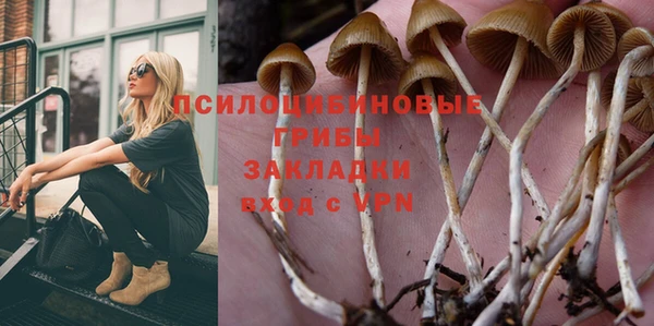 стаф Кинешма