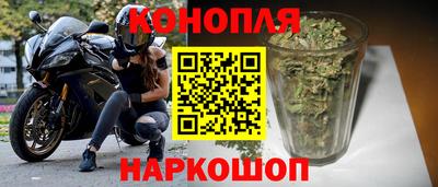 индика Аргун