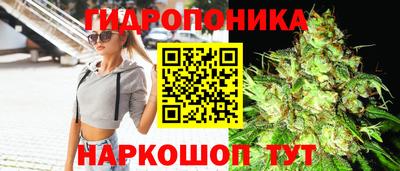 спиды Лесосибирск