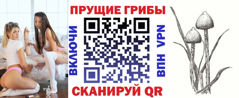 Галлюциногенные грибы Psilocybine cubensis  Лобня 